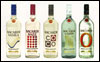 Bacardi Line Up
